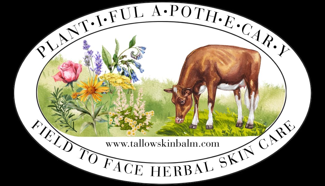 Plantiful Apothecary-Tallow