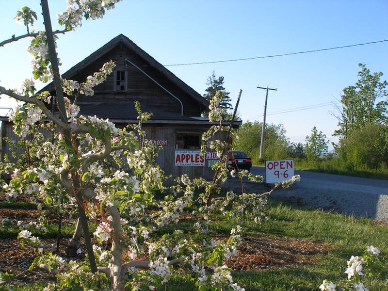 Pleasant Ridge Farm
