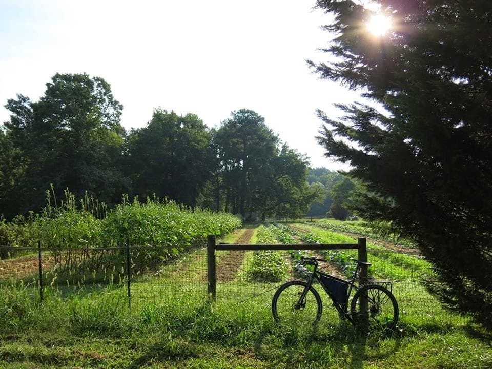 PlowGirl Farm