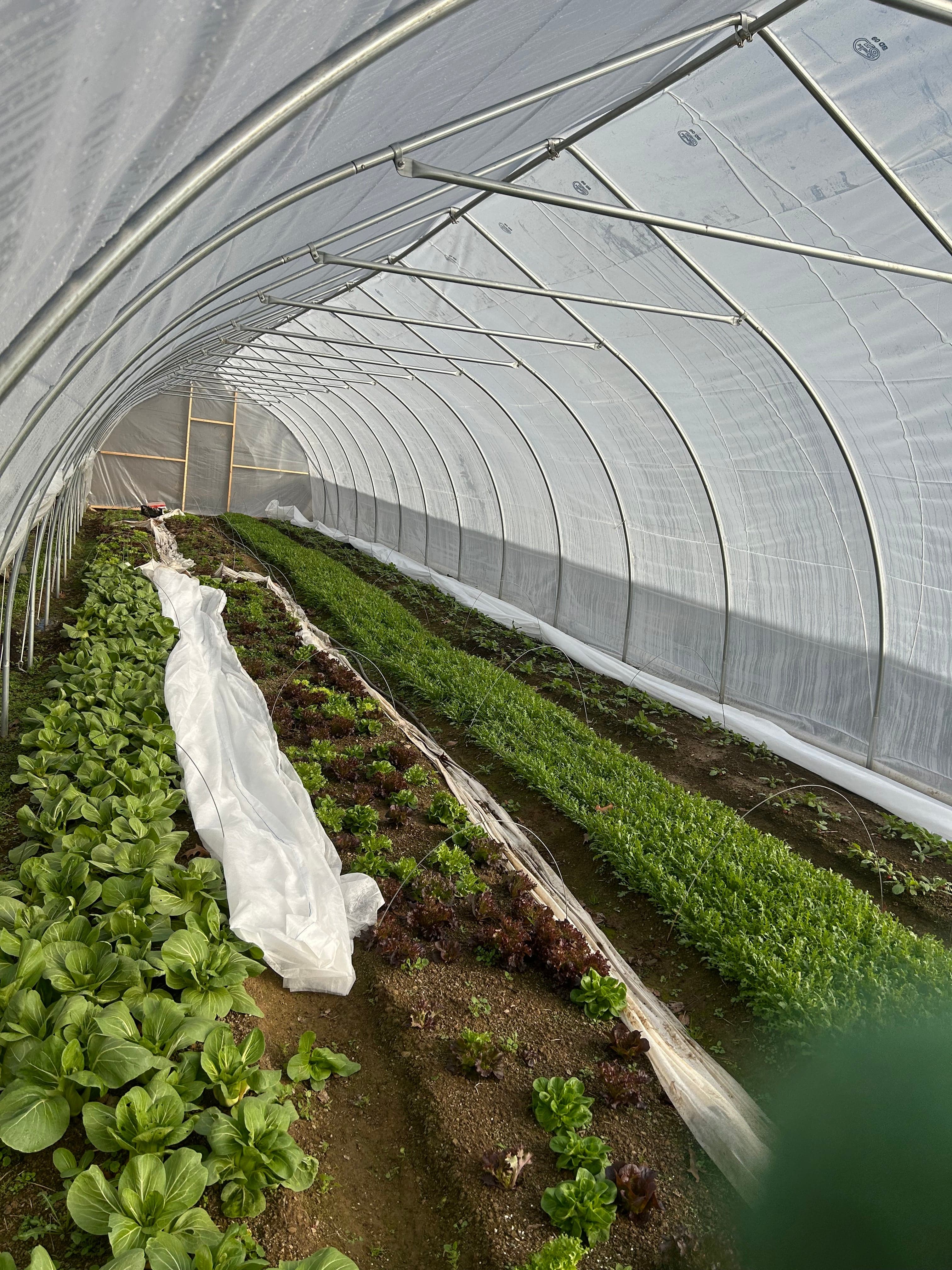 Pond Hill Farm