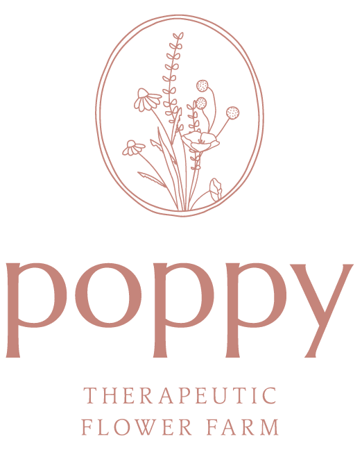 Poppy Flower Farm photo 2