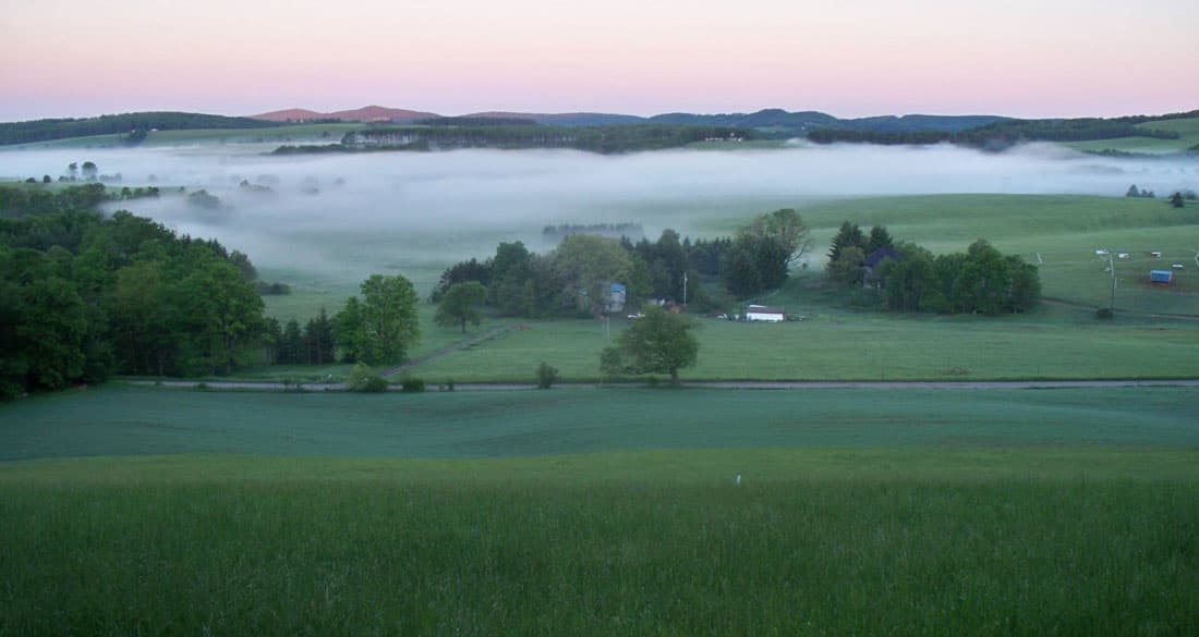 Possum Tail Farm