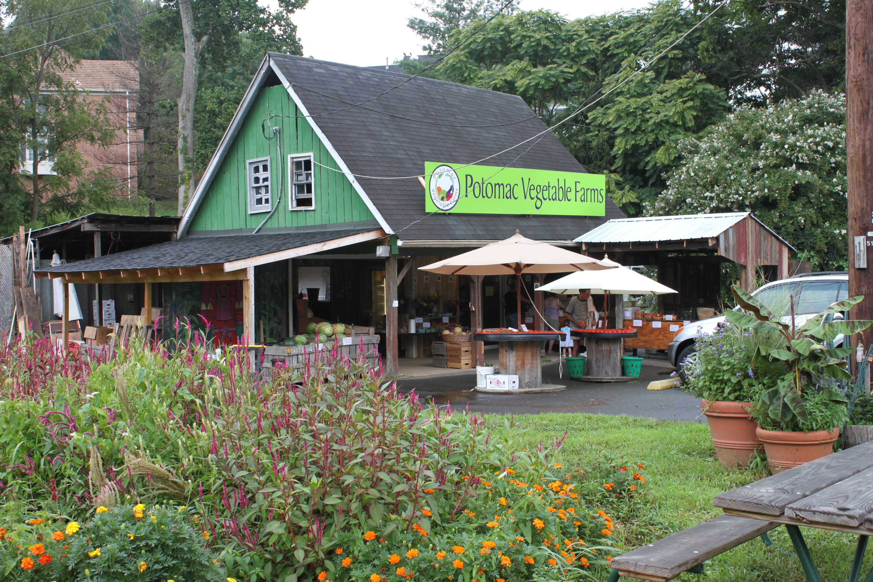 Potomac Vegetable Farms