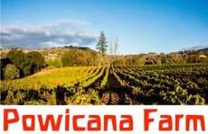 Powicana Farm photo 2