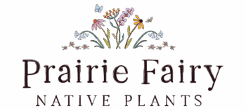 Prairie Fairy Native Plants photo 2
