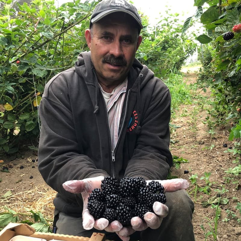 Prevedelli Farms