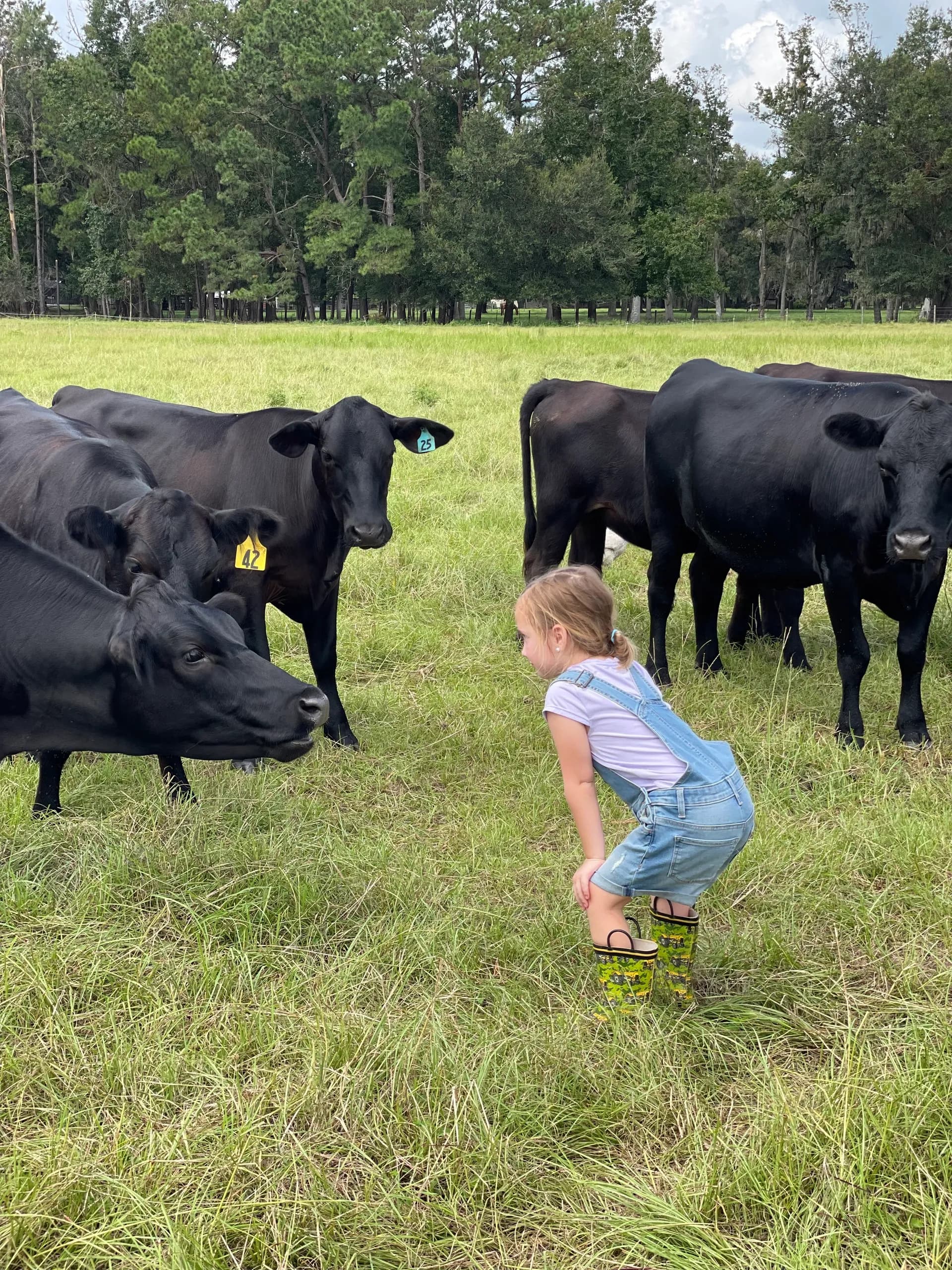 Price Creek Farm