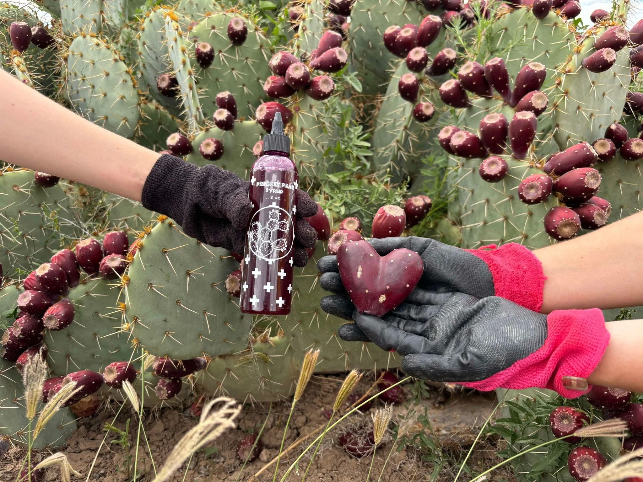 Prickly Foods