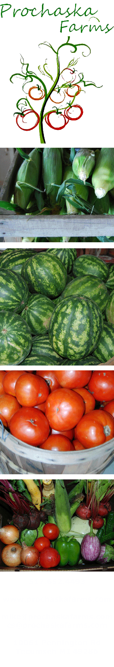Prochaska Farms