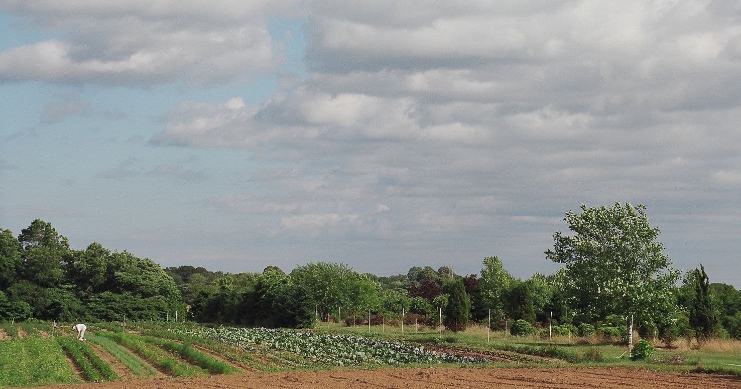 Quail Hill Farm photo 2