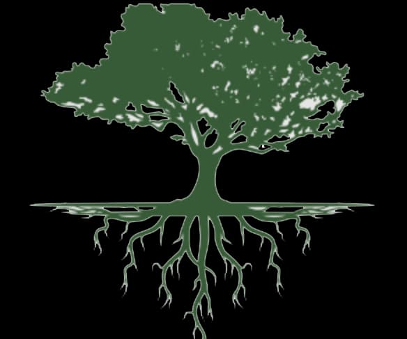radical roots nursery photo 2