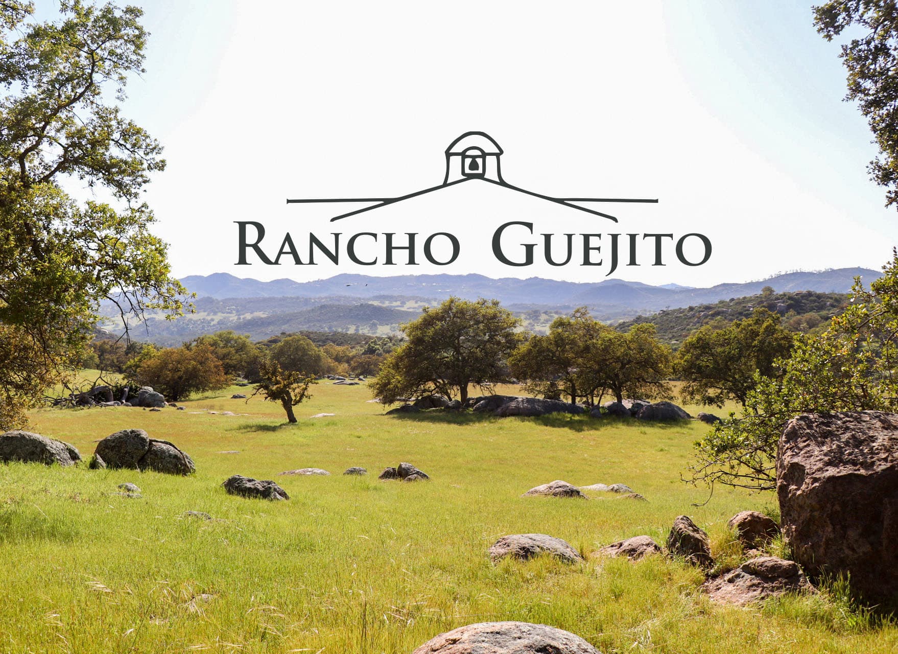 Rancho Guejito Beef photo 2