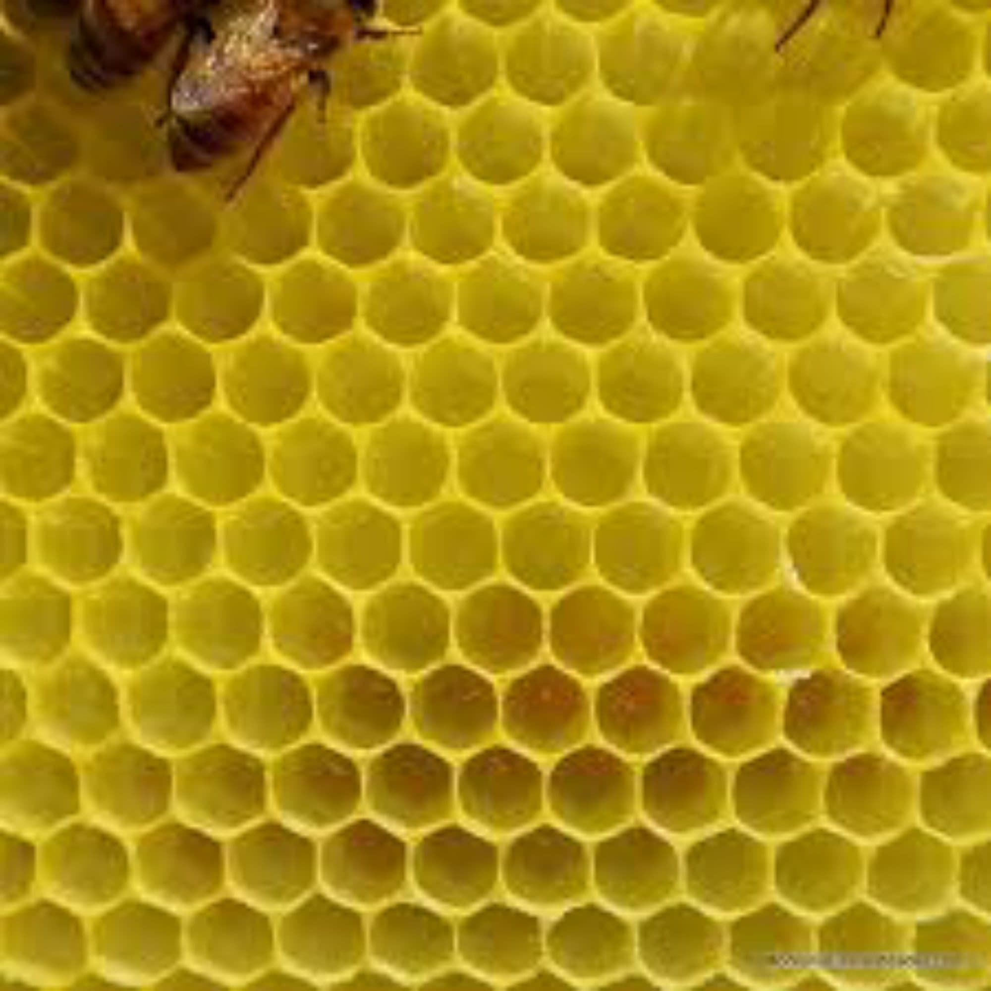 Raw Honey Shop