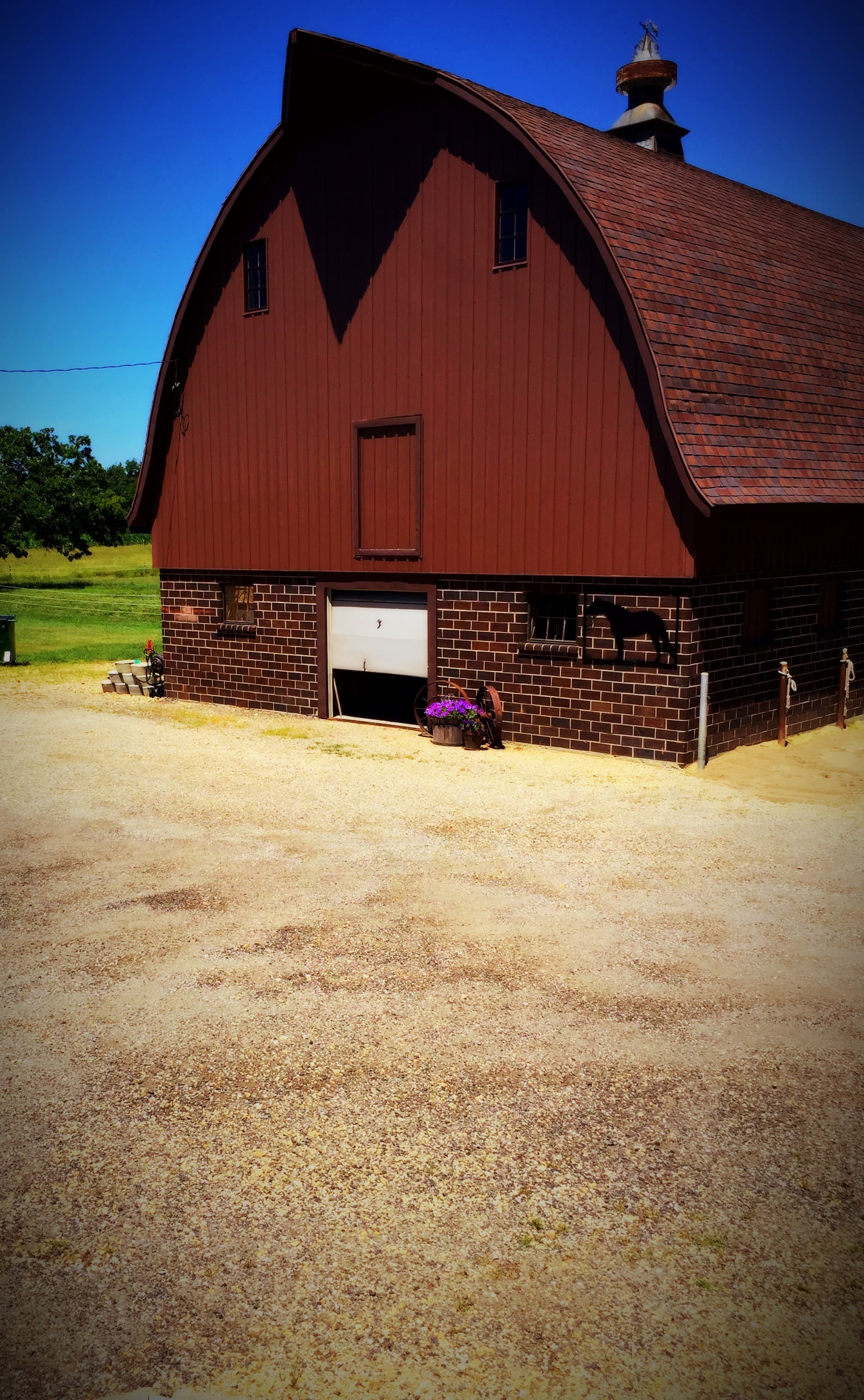 Rebel Rooster Farm photo 2