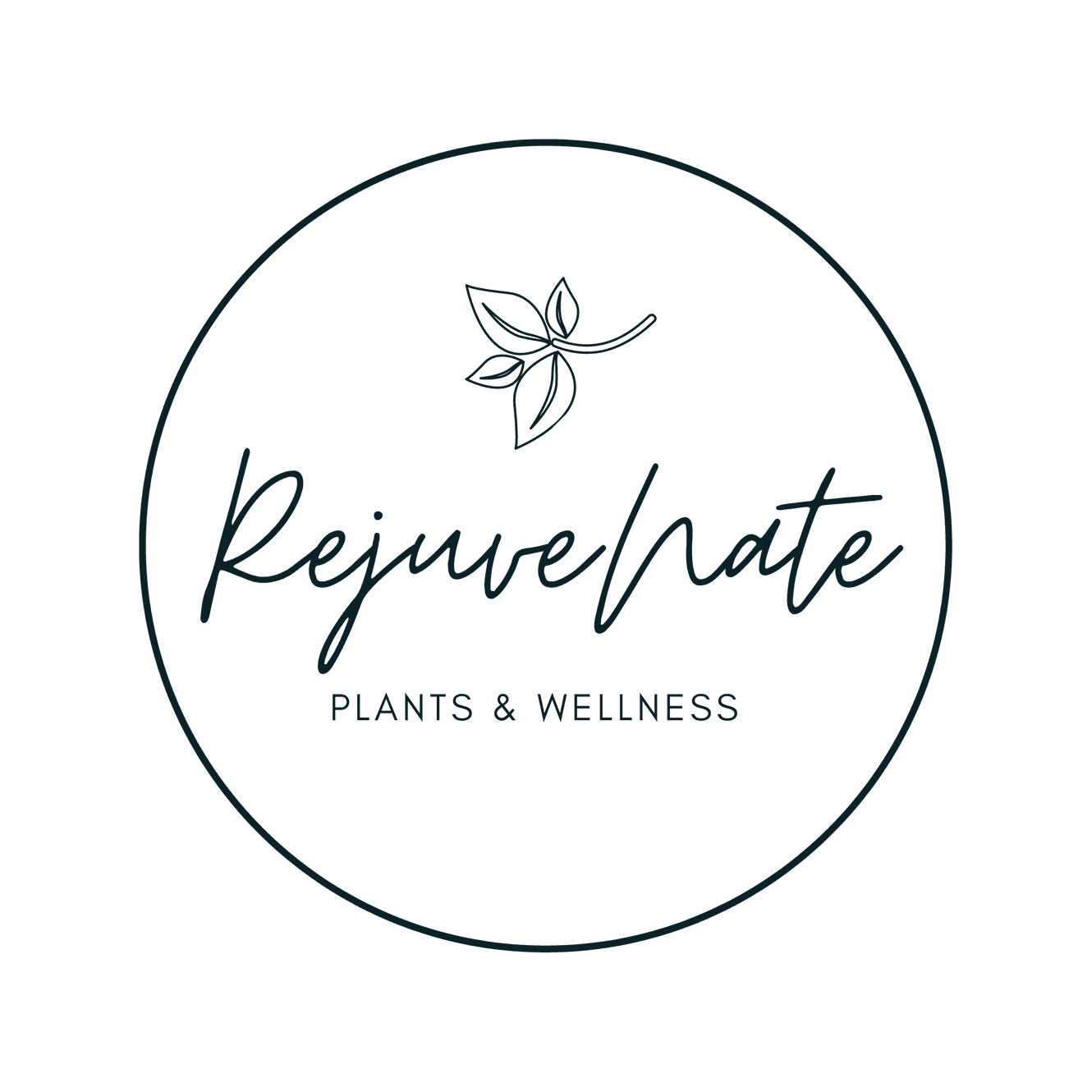 RejuveNate – Plants and Wellness photo 2