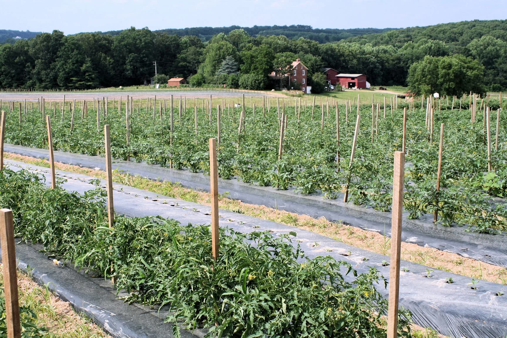 Richfield Farm