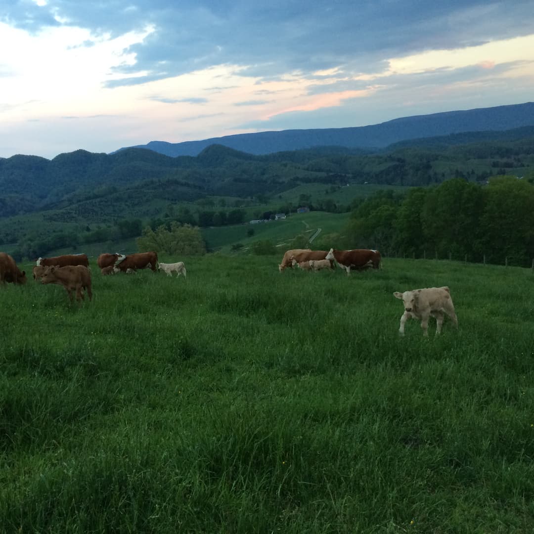 River Mountain Farms