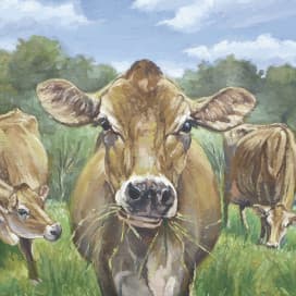 Riverbend Creamery