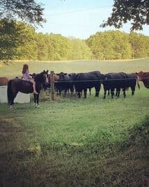 Rocky Oak Farms