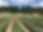 Rodriguez Bros. Ranch