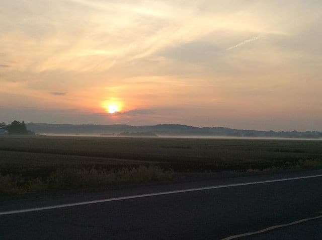 Rogowski Farm photo 2