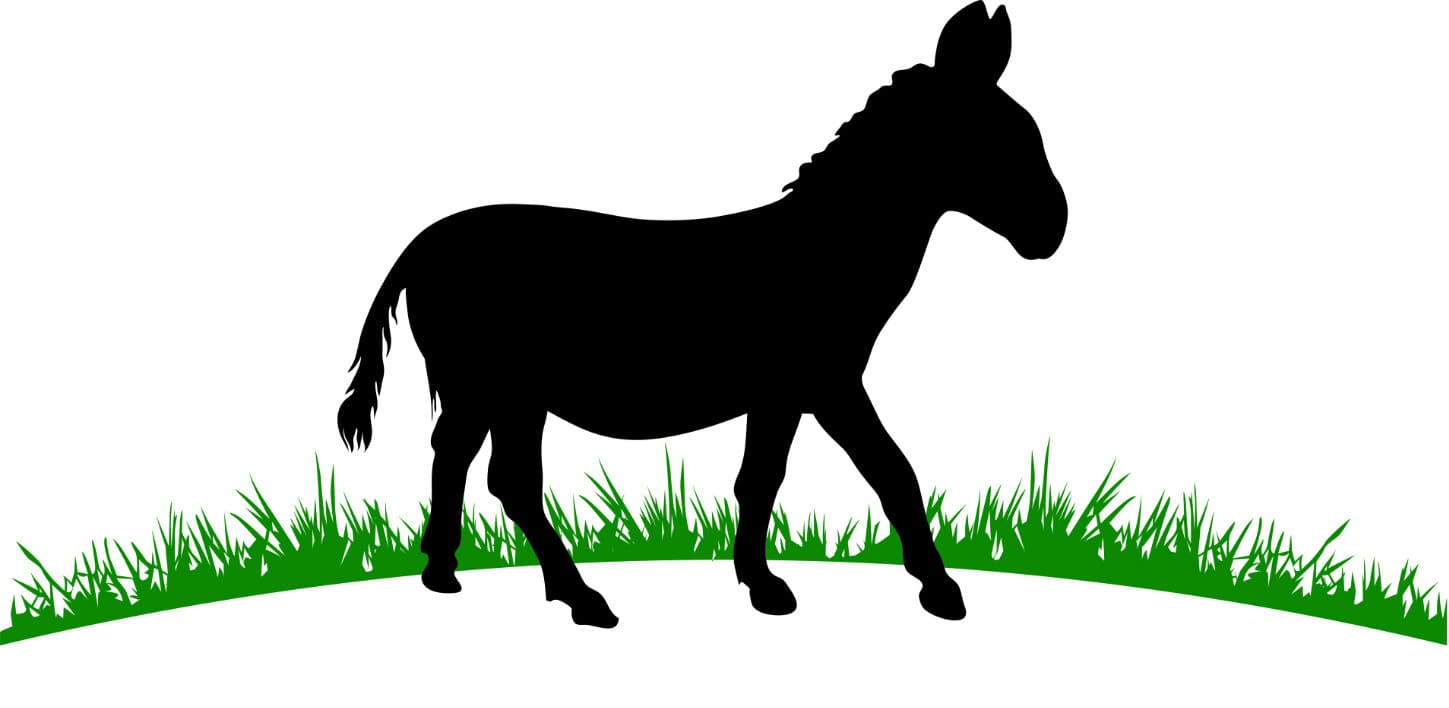 Roving Donkey Farm photo 2