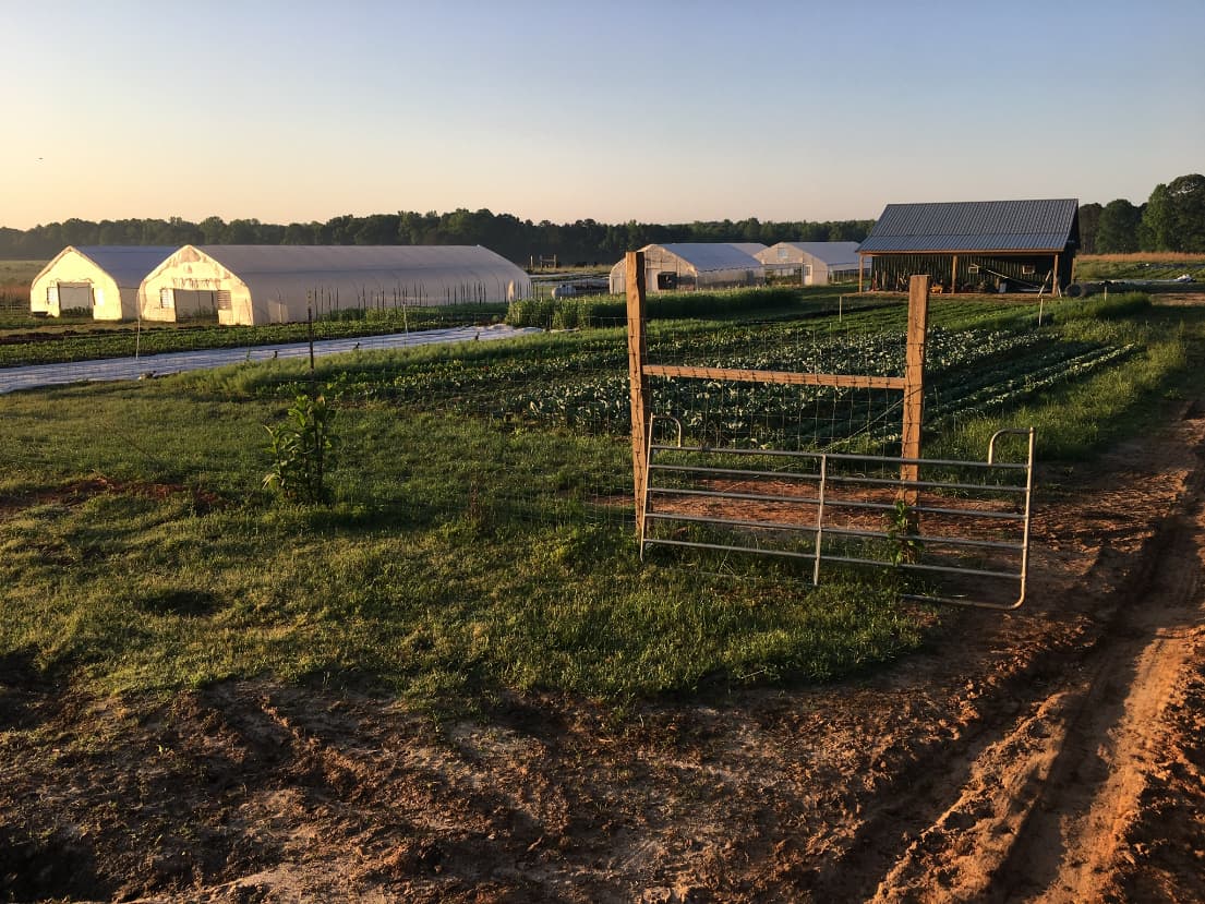 Row by Rowe Organic Farm