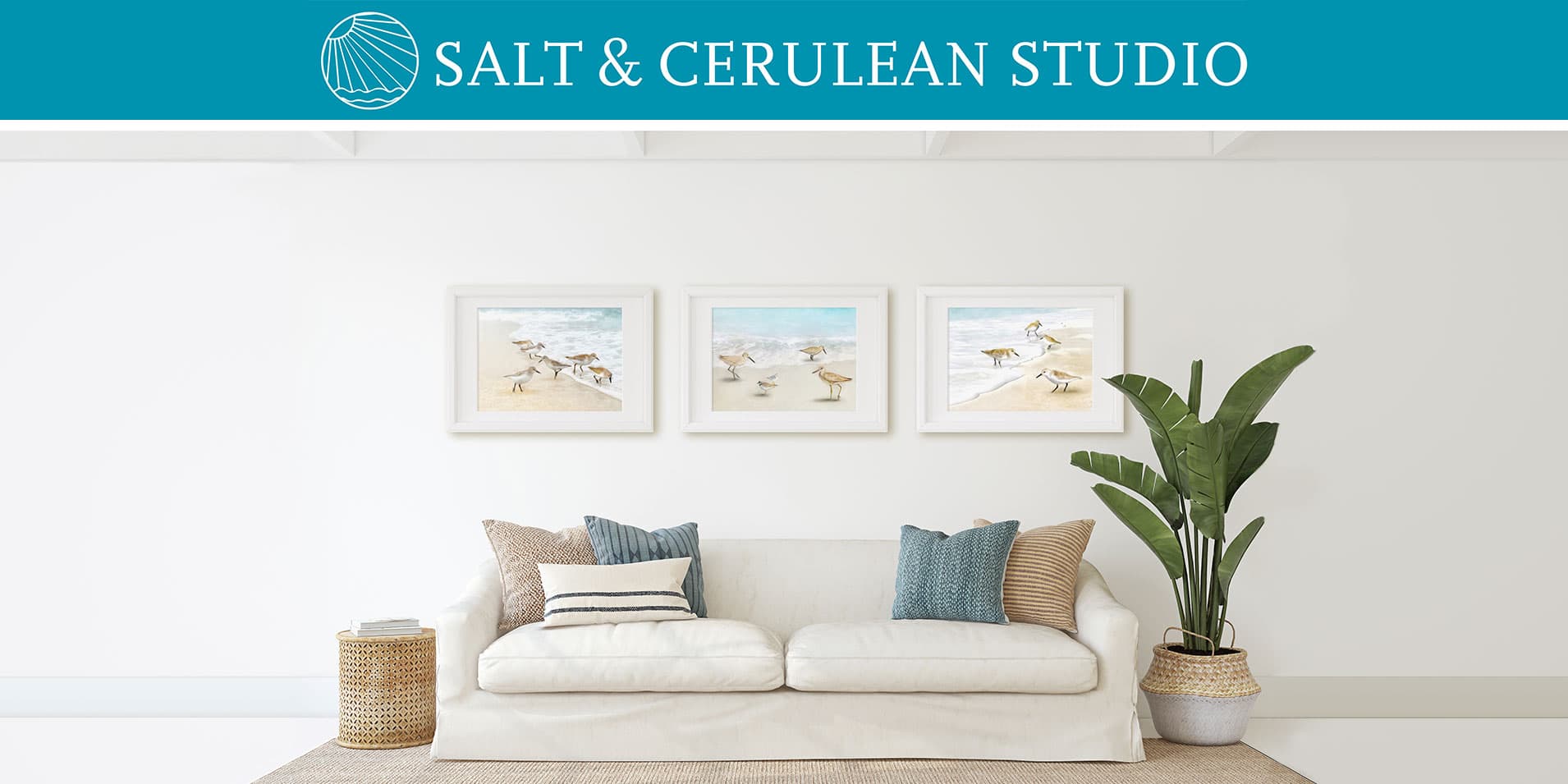 Salt & Cerulean photo 2