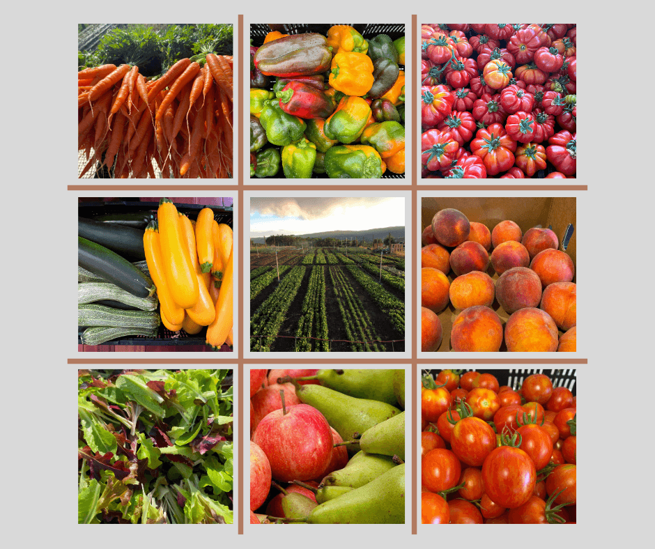Sandy's Way Microfarm photo 2