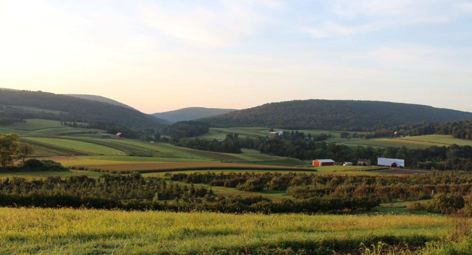 Scenic View Orchards