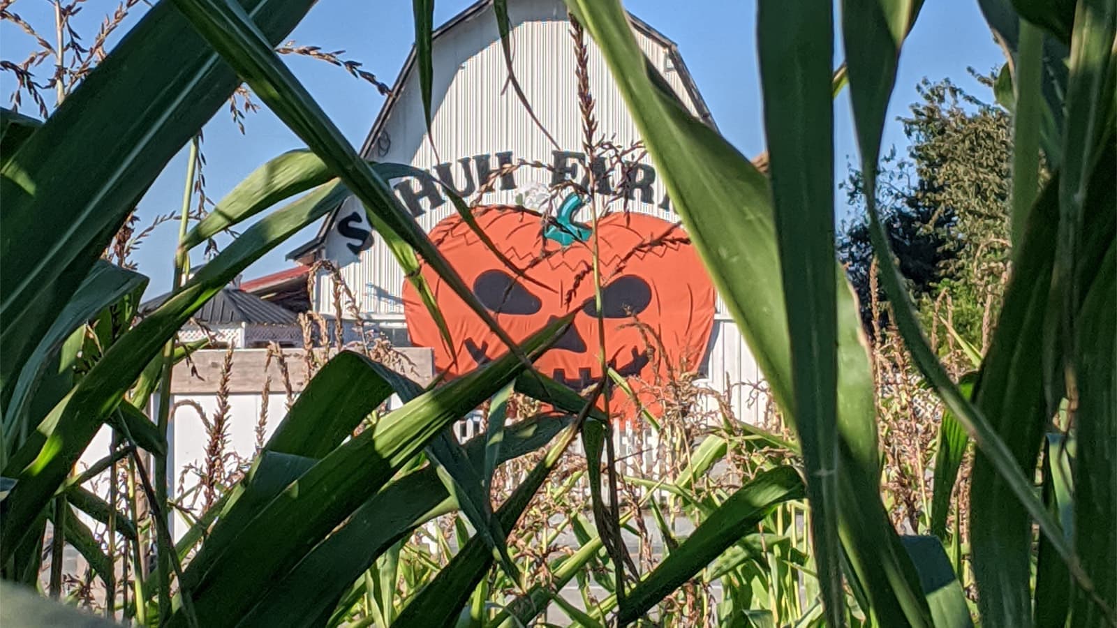 Schuh Farms photo 2