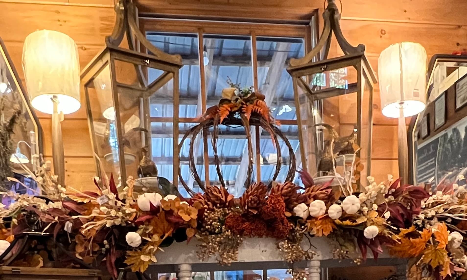 Scottsdale Farms Garden Center photo 2