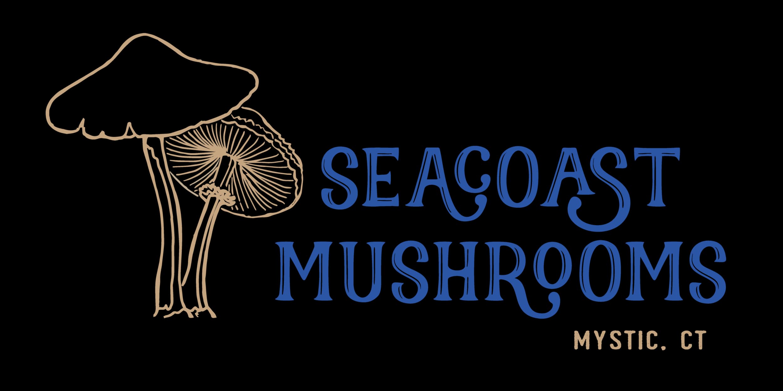 Seacoast Mushrooms photo 2