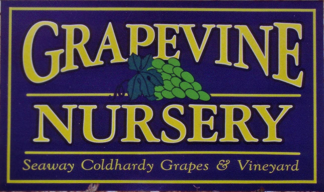 Seaway Coldhardy Grapes
