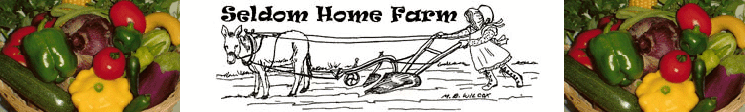 Seldom Home Farm