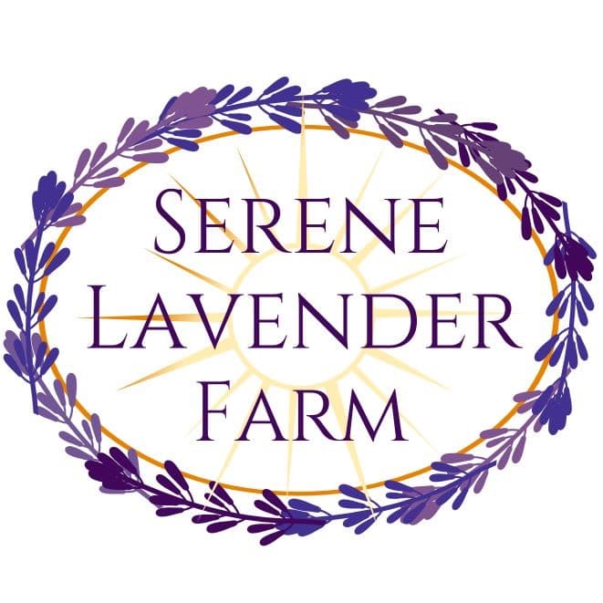 Serene Lavender Farm photo 2