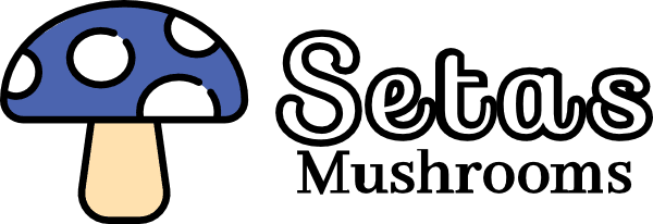 Setas Mushrooms