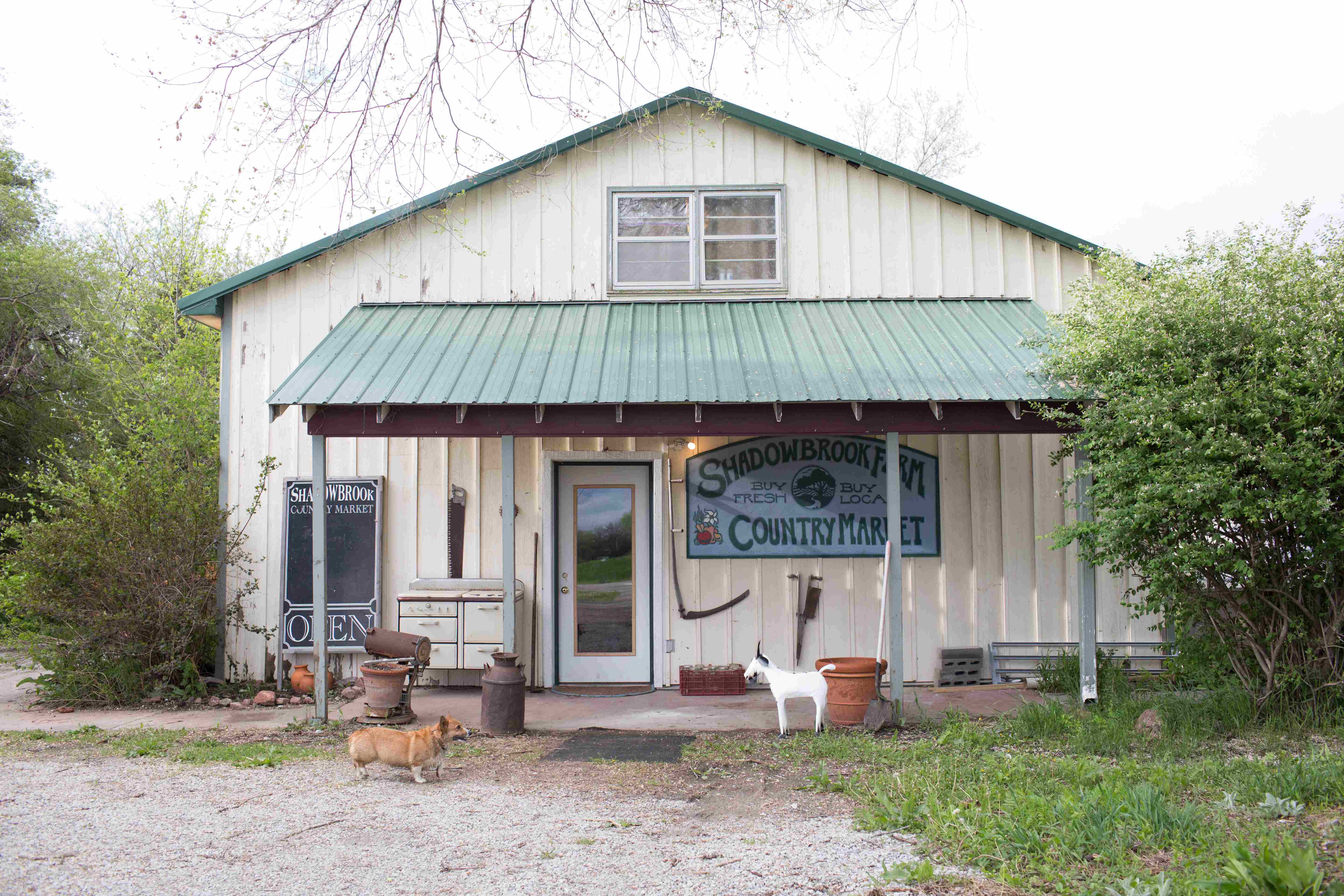 Shadow Brook Farm & Dutch Girl Creamery photo 2