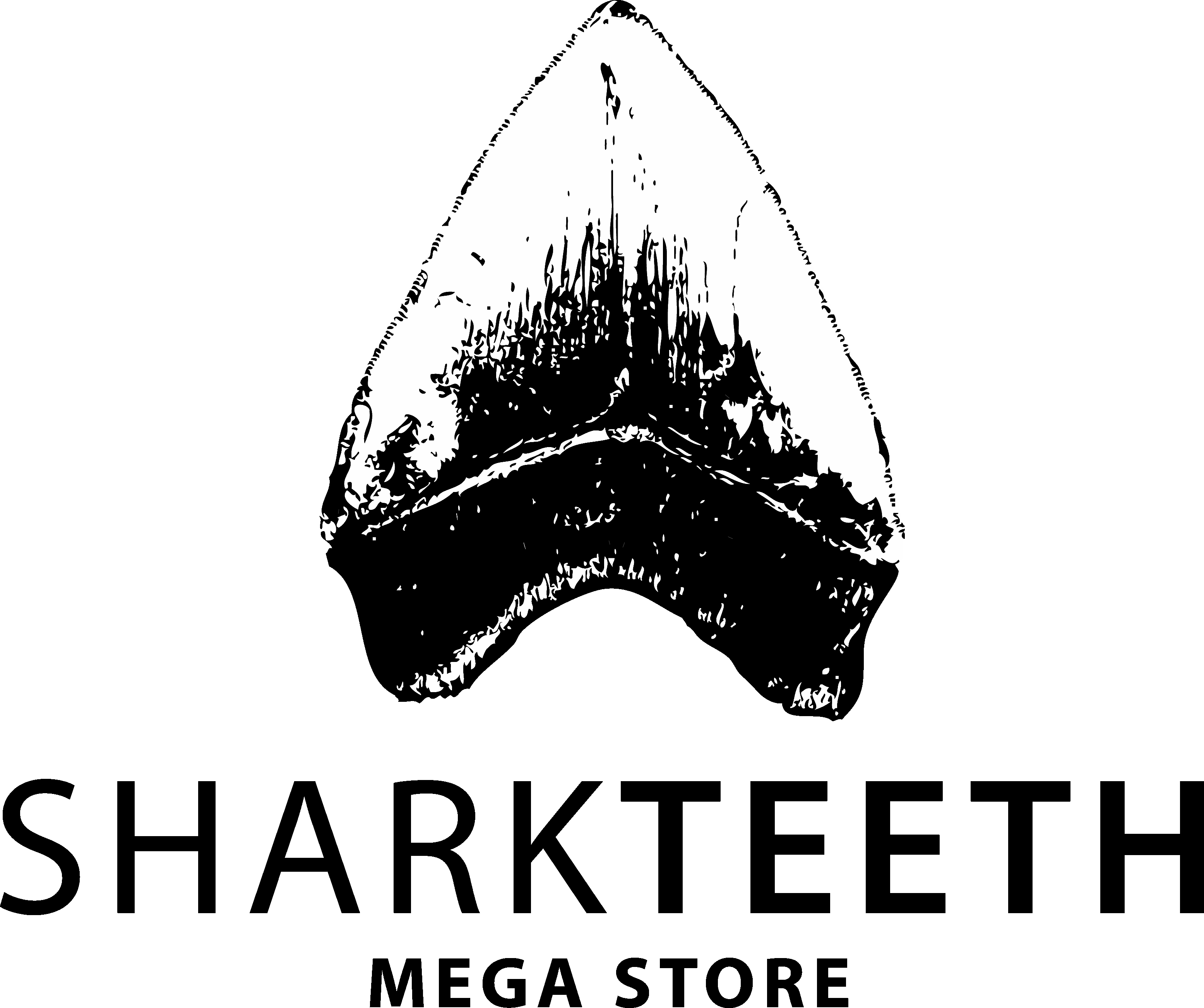 Shark Teeth Mega Store photo 2