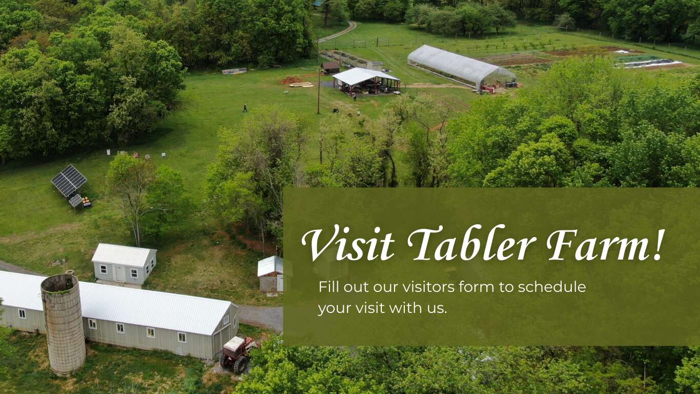 Shepherd University's Tabler Farm