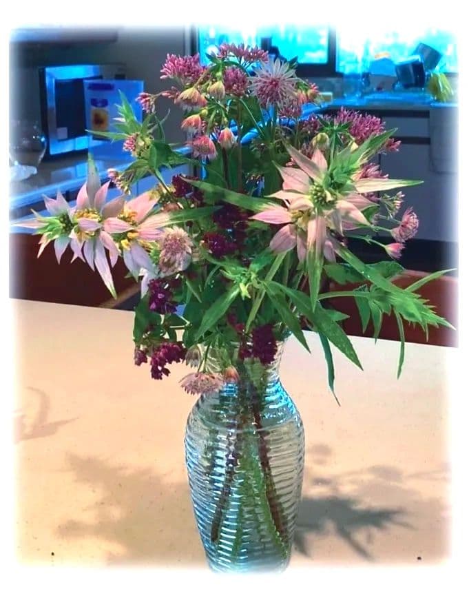 SHIRE FLOWERS photo 2