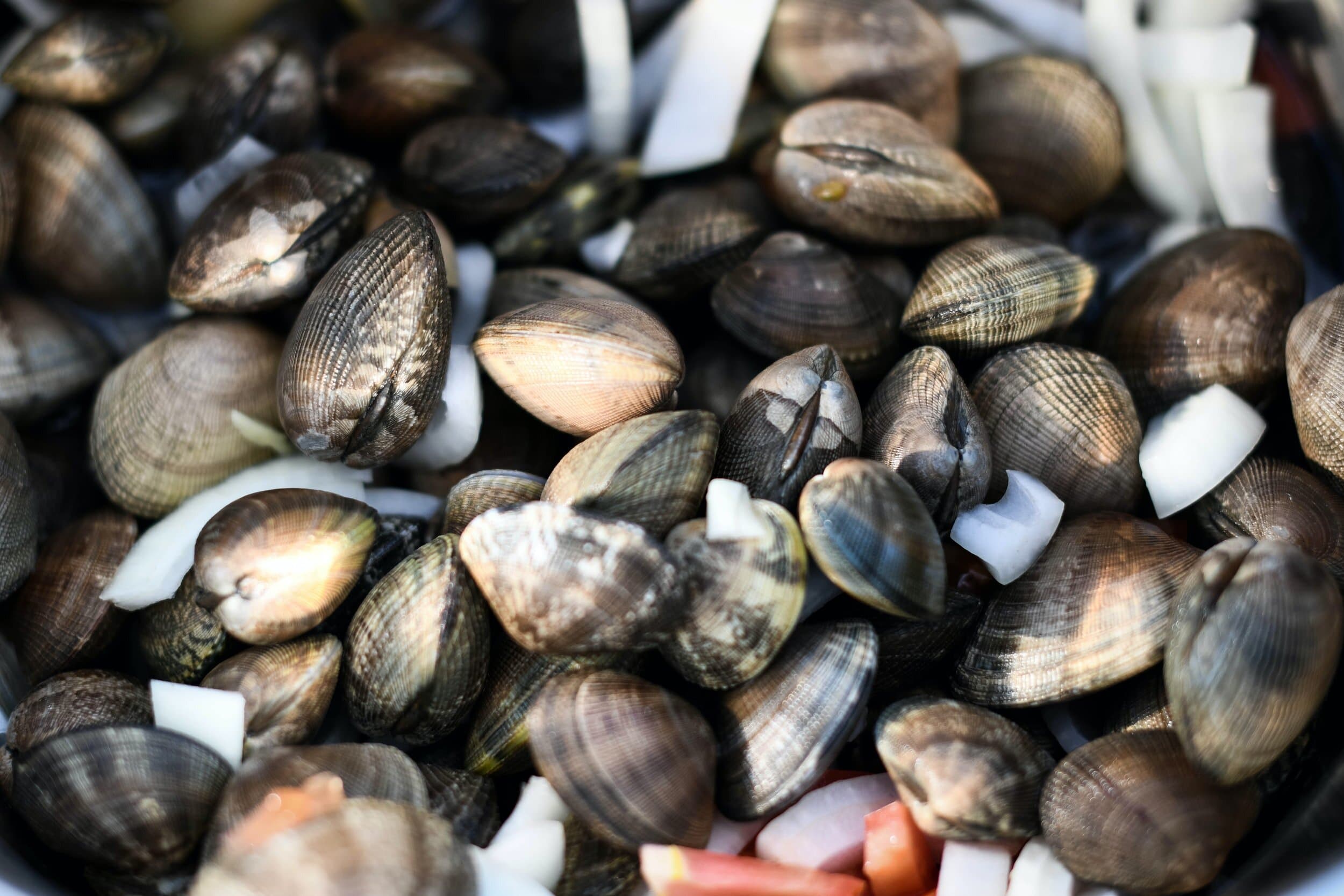 Shore Coastal Seafood photo 2