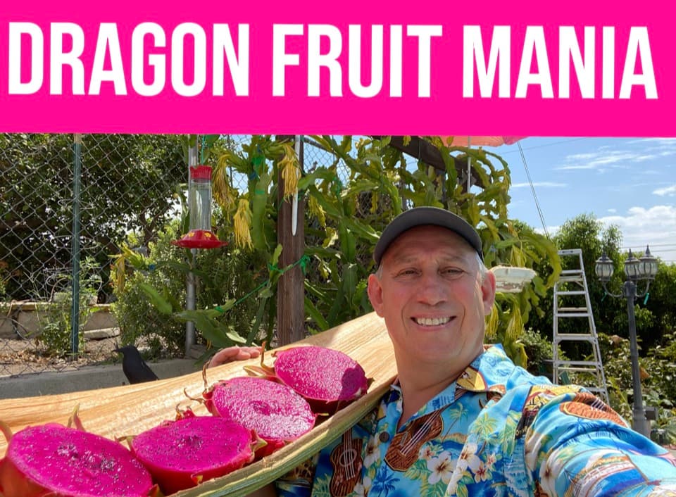 Shulman Dragon Fruit Orchard photo 2