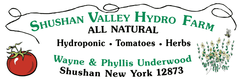 Shushan Valley Hydro
