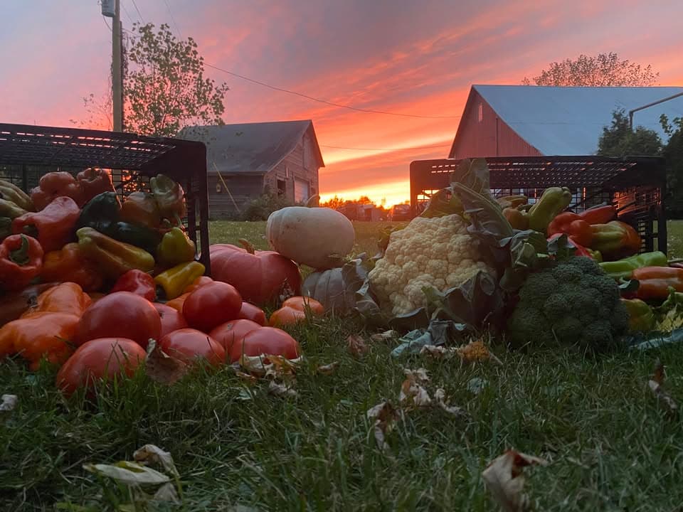Simply MI Farm photo 2