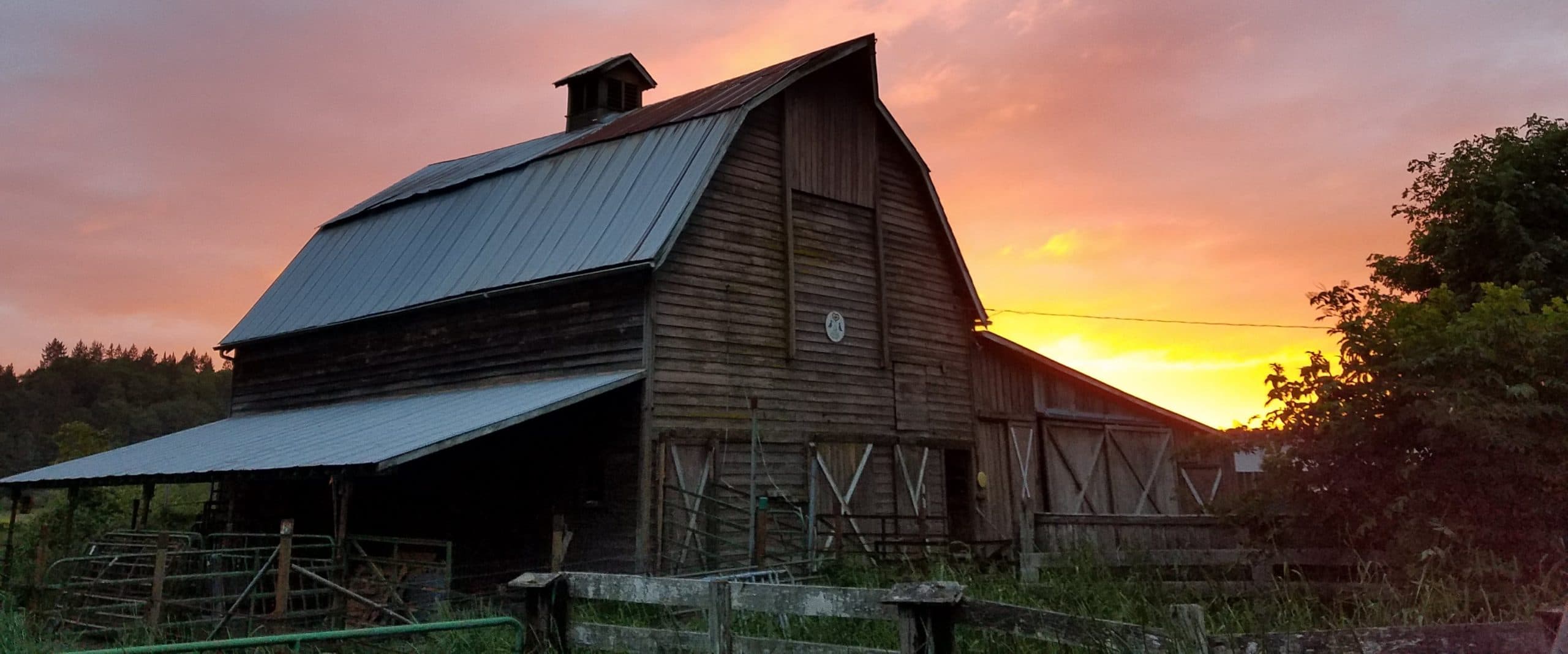 Skylight Farms photo 2