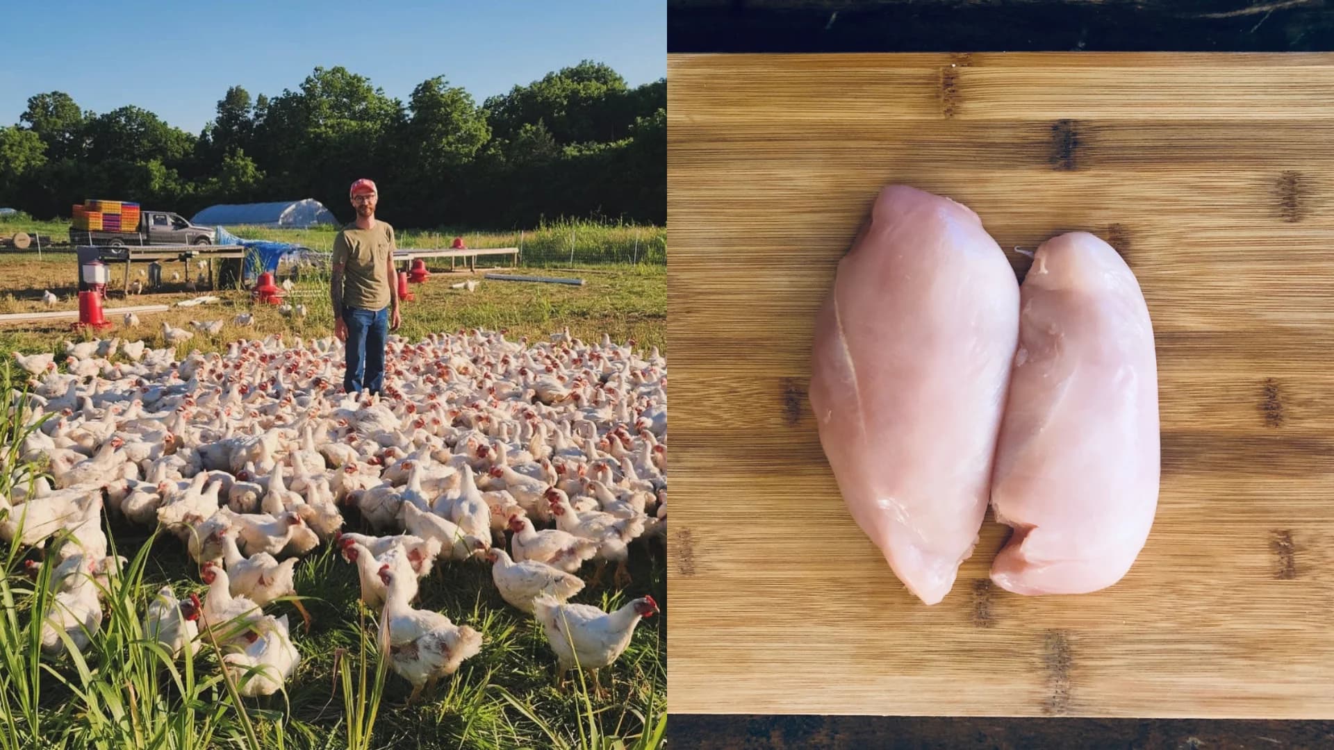 Slaughter Family Farm
