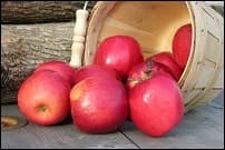 SLO Creek Farms