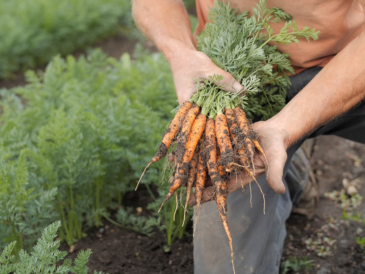 Smart Farm photo 2