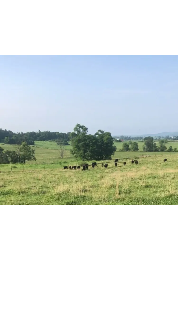 Smith Family Farm photo 2